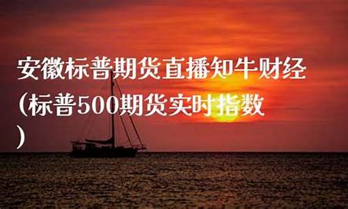 标普500期货手续费及点差是多少(标普500期货代表什么)_https://www.hfzcyjhs.com_EIA直播间_第2张