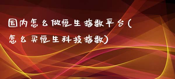 国内怎么做恒生指数平台(怎么买恒生科技指数)_https://www.hfzcyjhs.com_黄金期货直播间_第1张