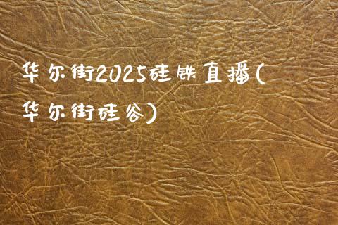 华尔街2025硅铁直播(华尔街硅谷)_https://www.hfzcyjhs.com_恒指期货直播间_第1张