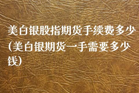 美白银股指期货手续费多少(美白银期货一手需要多少钱)_https://www.hfzcyjhs.com_国际期货直播间_第1张